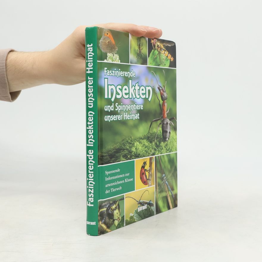 Markus Hattstein Faszinierende Insekten und Spinnentiere unserer Heimat