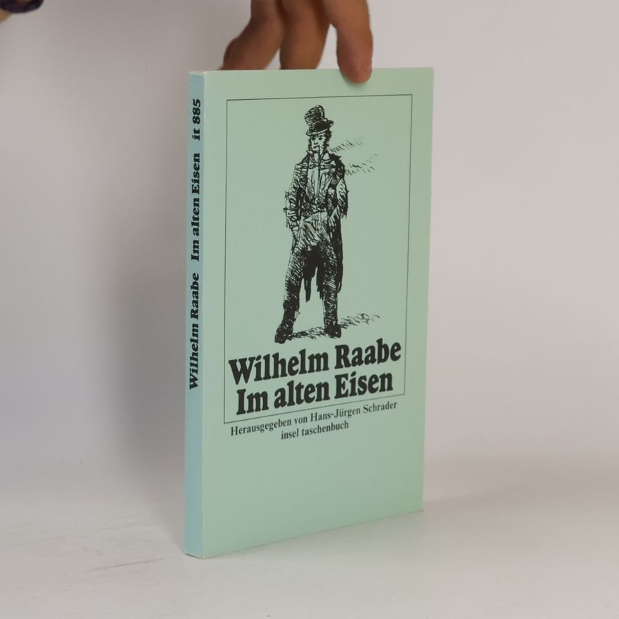 Hans-Jürgen Schrader Insel Taschenbuch - 885: Im alten Eisen