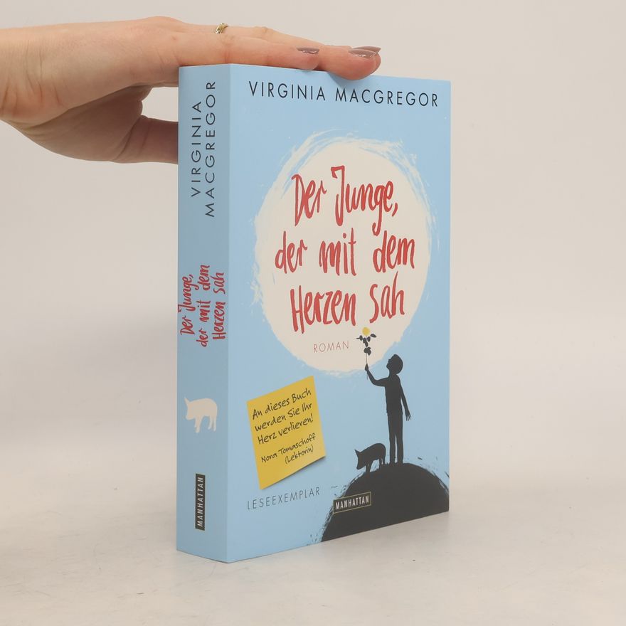 Virginia Macgregor Der Junge, der mit dem Herzen sah