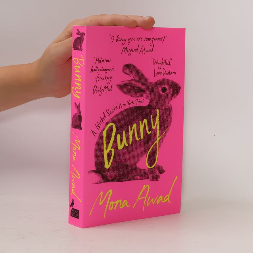 Mona Awad Bunny