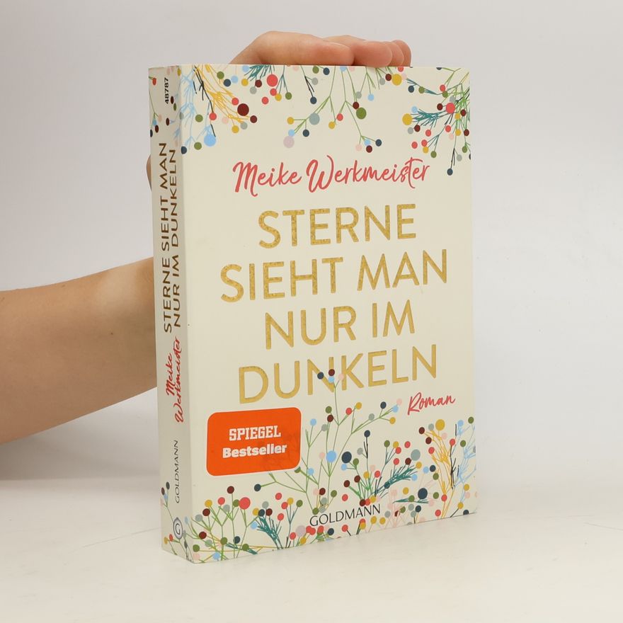 Meike Werkmeister Sterne sieht man nur im Dunkeln