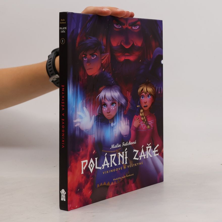 Malin Falch Polární záře. Vikingové a věštkyně
