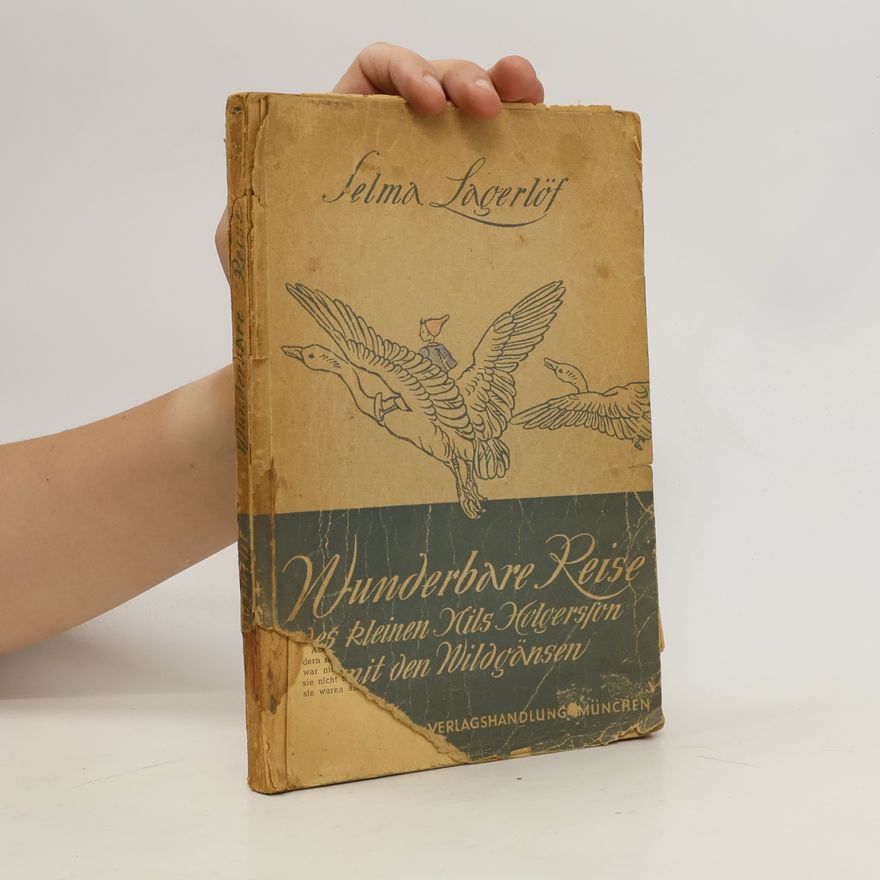 Selma Lagerlöf Wunderbare Reise des kleinen Nils Holgersson mit den Wildgänsen