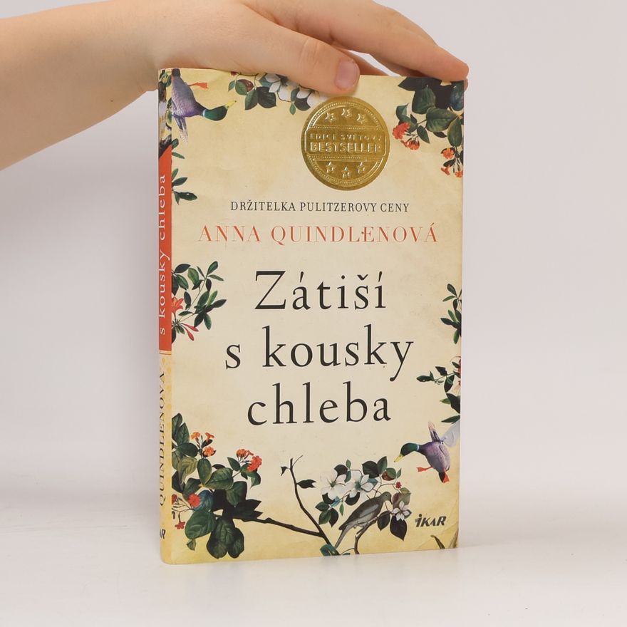 Anna Quindlen Zátiší s kousky chleba