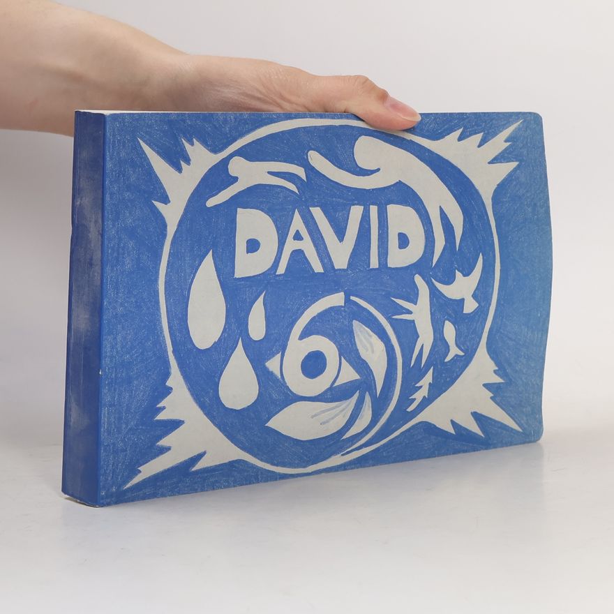 Kolektiv autorů David
