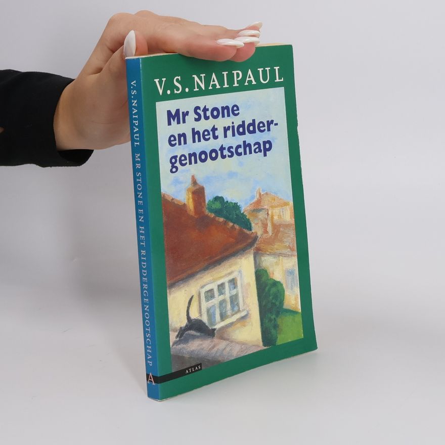 Harry Pallemans Mr Stone en het riddergenootschap