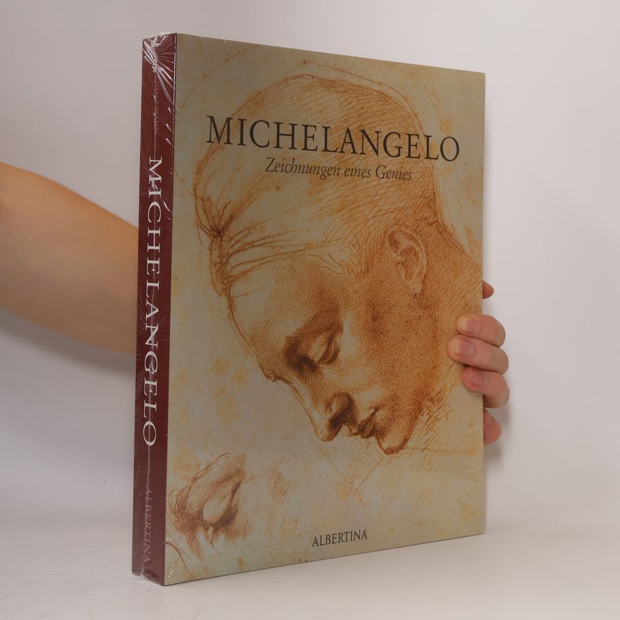 Autorenkollektiv Michelangelo : Zeichnungen eines Genies