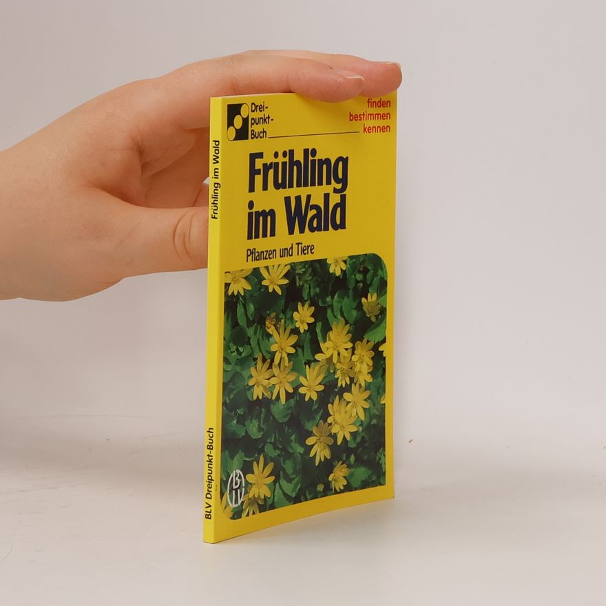 Alfred Handel Frühling im Wald