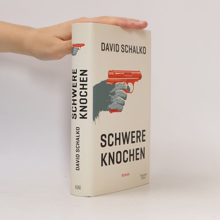 David Schalko Schwere Knochen