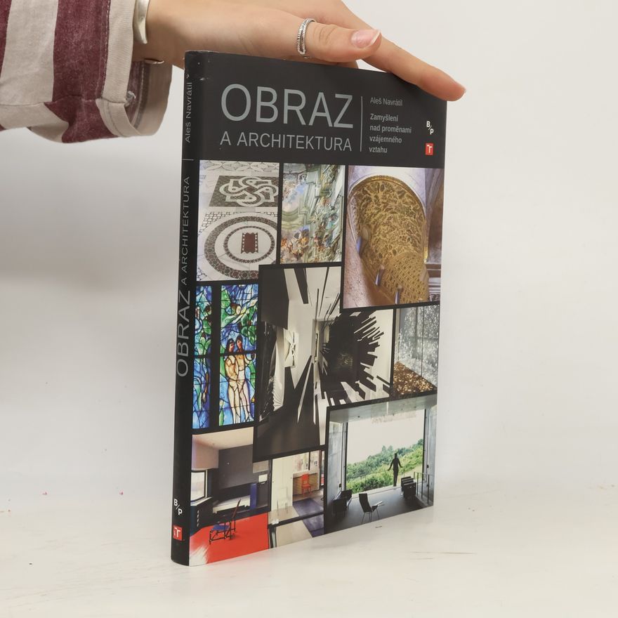Aleš Navrátil Obraz a architektura