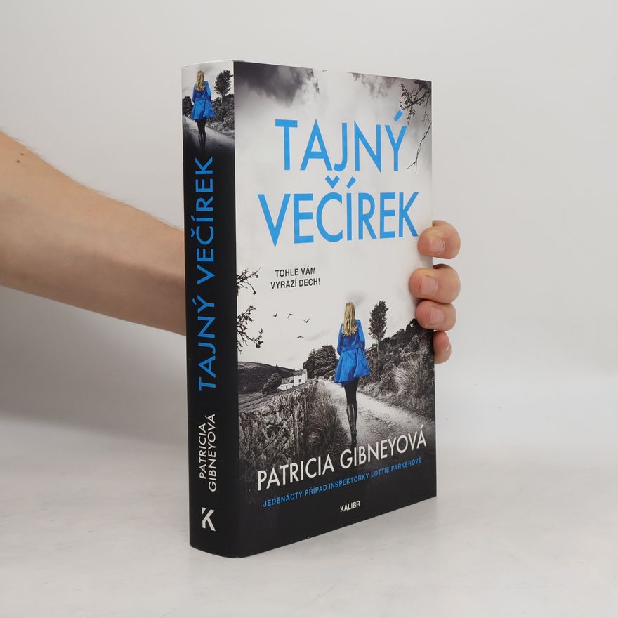 Patricia Gibney Tajný večírek
