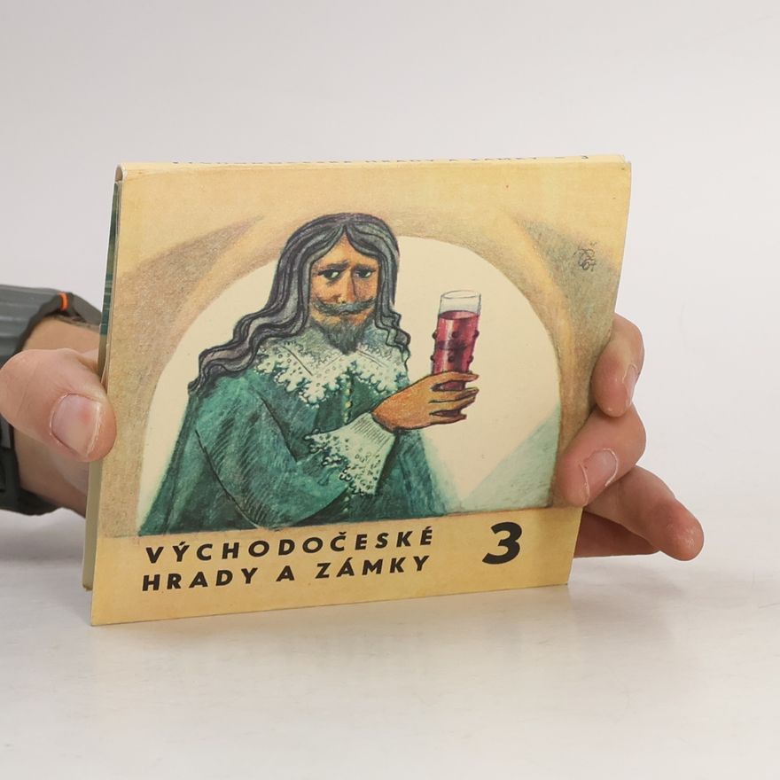 Kolektiv autorů Východočeské hrady a zámky 3