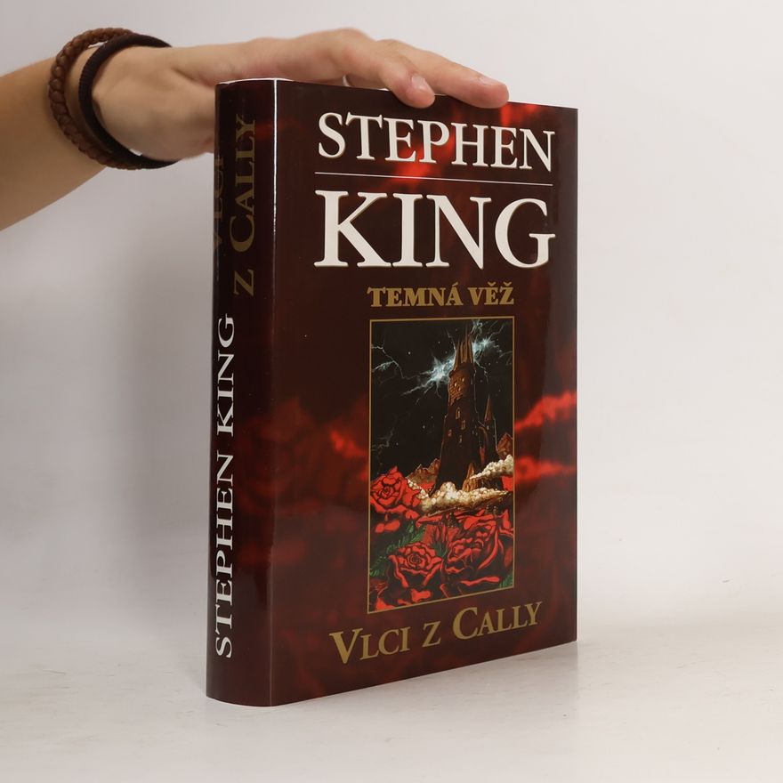 Stephen King Temná věž: Vlci z Cally