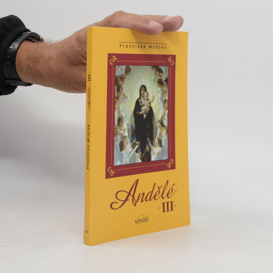 František Mráček Andělé 3