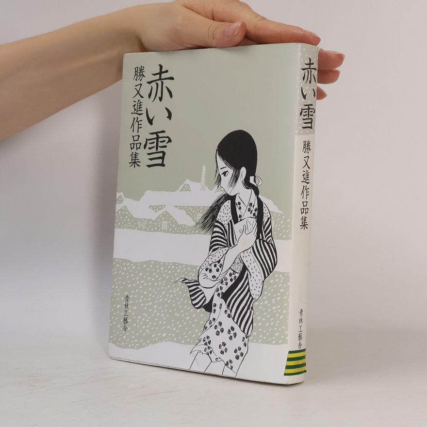 Susumu Katumata Red snow - Susumu Katsumata Works (2005) ISBN