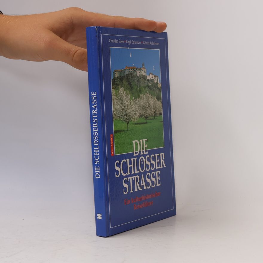 Christian Steeb Die Schlösserstrasse