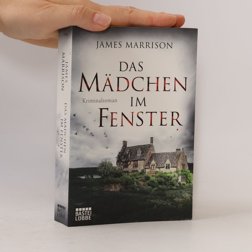 James Marrison Das Mädchen im Fenster