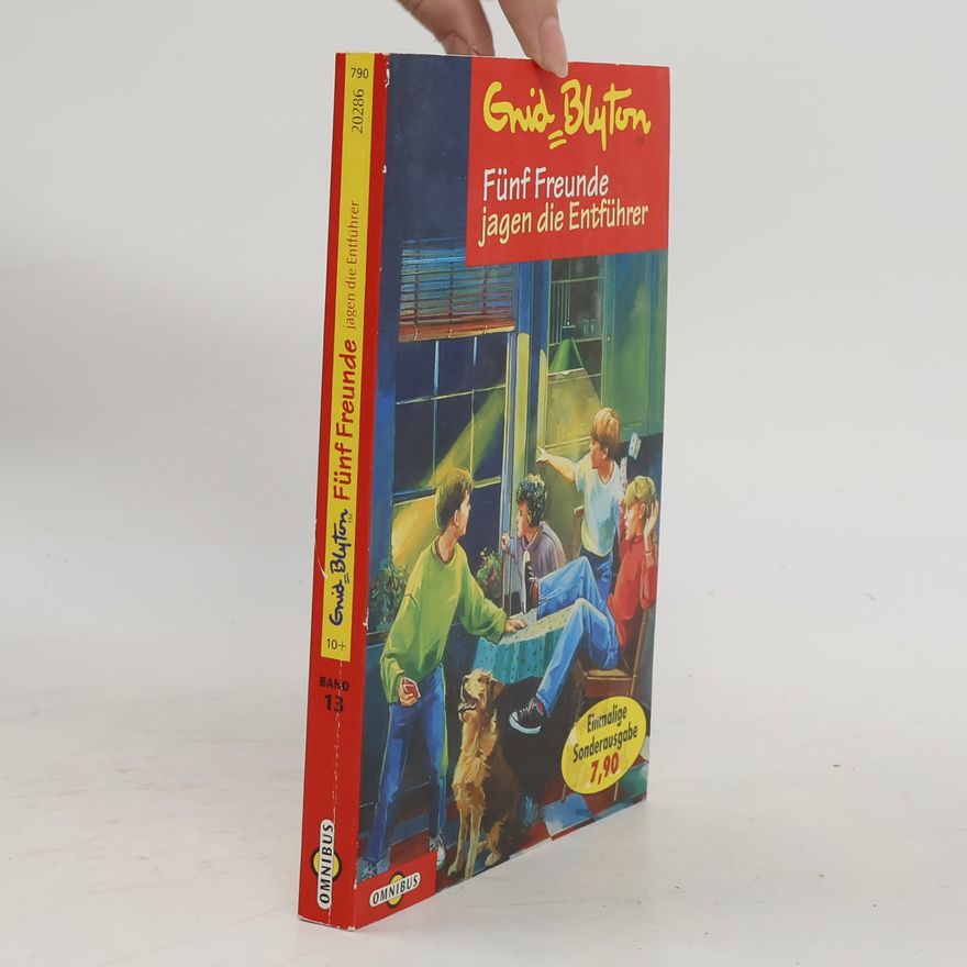 Enid Blyton Fünf Freunde jagen die Entführer