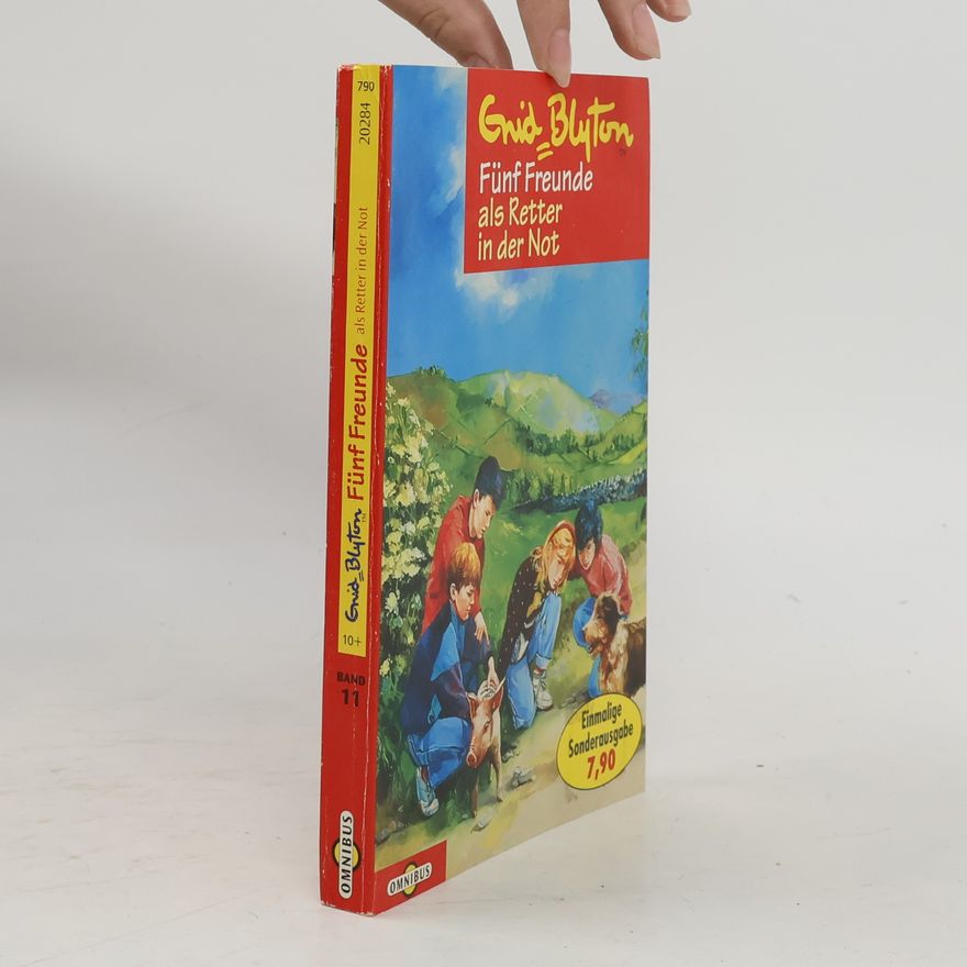 Enid Blyton Fünf Freunde als Retter in der Not