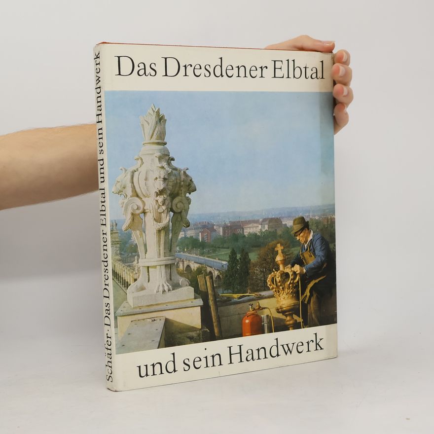 Kolektiv autorů Das Dresdener Elbtal und sein Handwerk