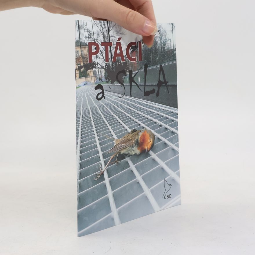 Lukáš Viktora Ptáci a skla