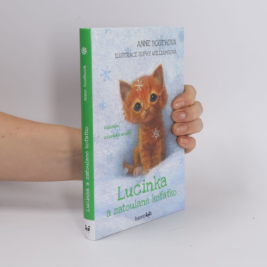 Anne Booth Lucinka a zatoulané koťátko