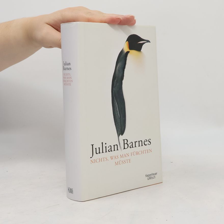 Julian Barnes Nichts, was man fürchten müsste