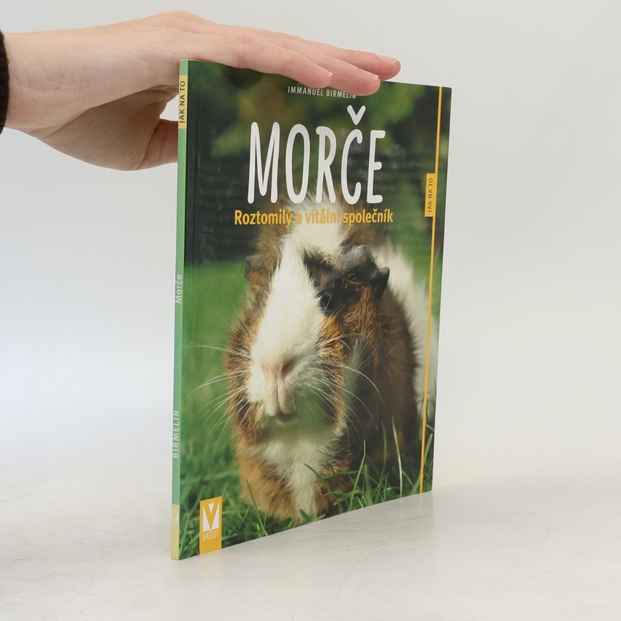 Immanuel Birmelin Morče. Roztomilý a vitální společník
