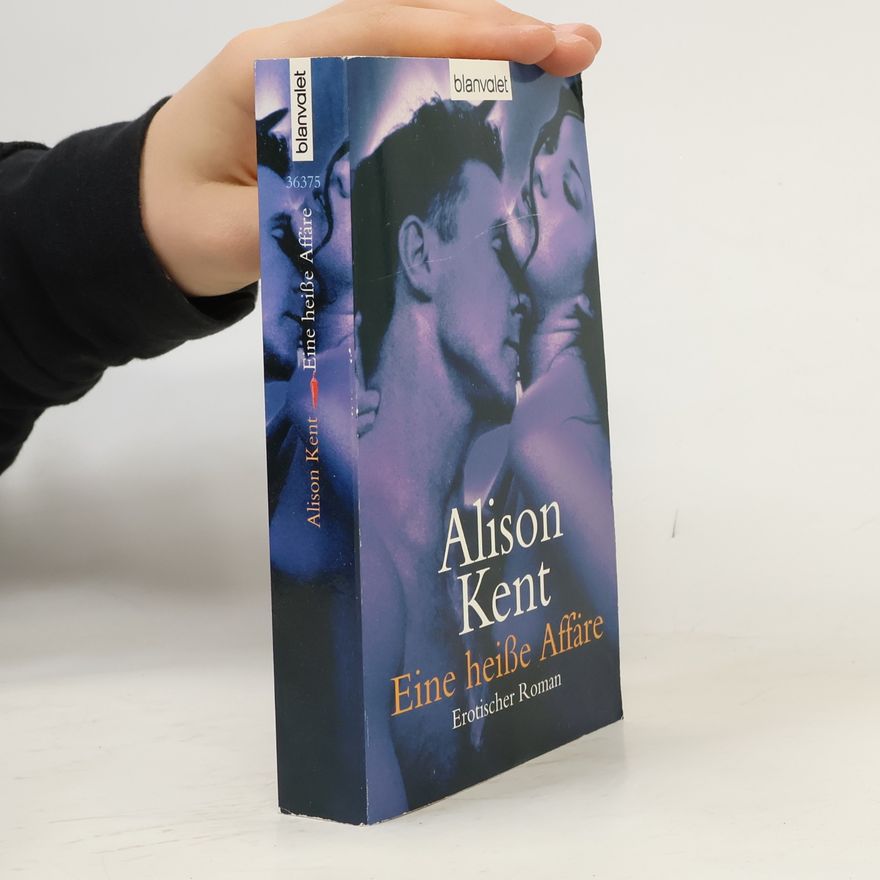 Alison Kent Eine heiße Affäre