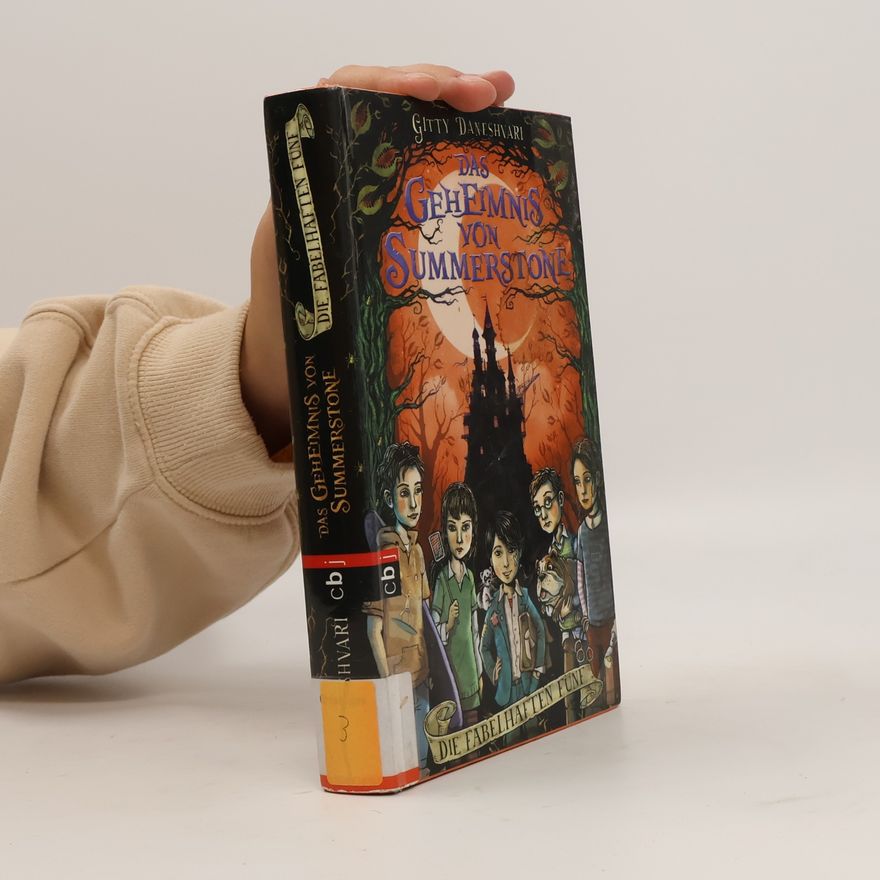 Gitty Daneshvari Das Geheimnis von Summerstone