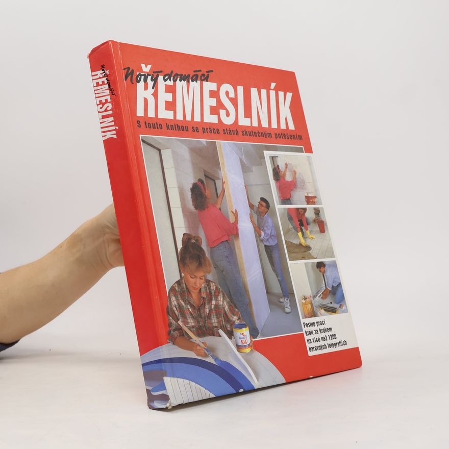 Dieter Rex Nový domácí řemeslník