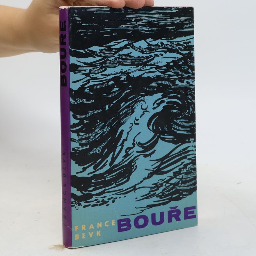 France Bevk Bouře