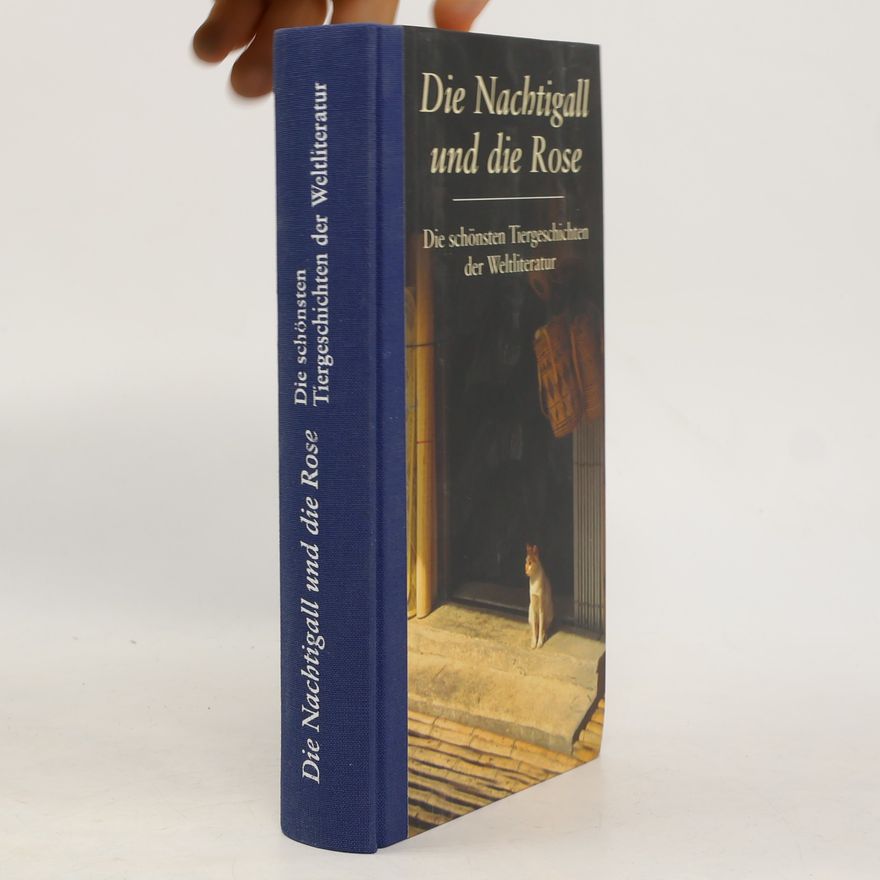 Gesine Dammel Die Nachtigall und die Rose