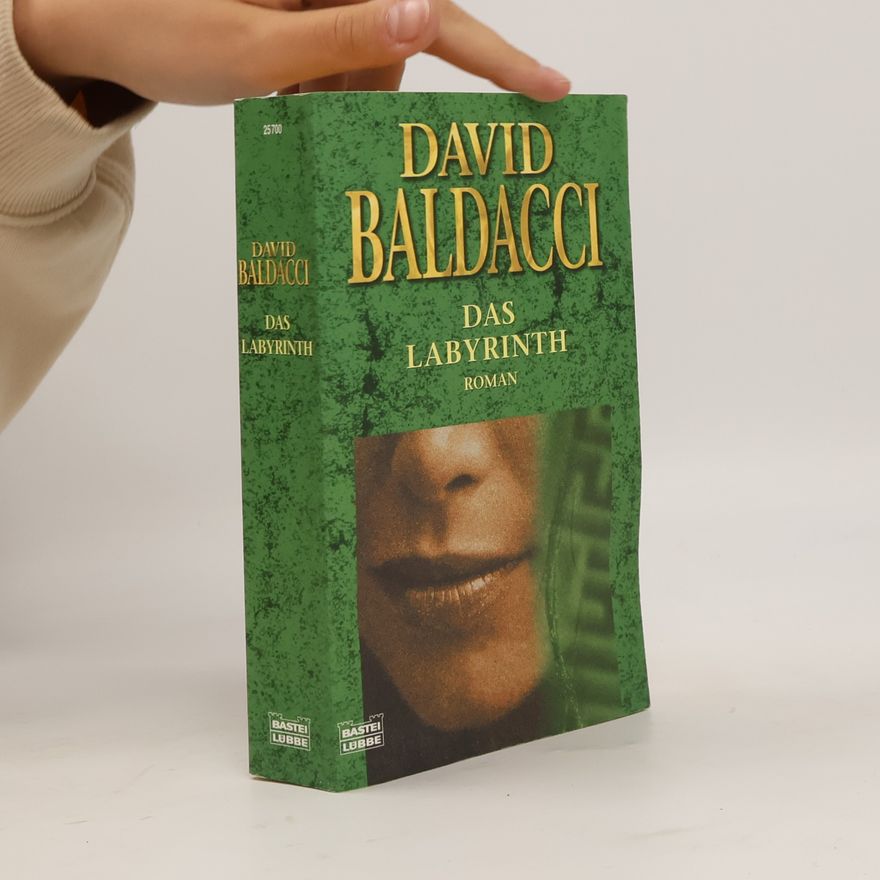 David Baldacci Das Labyrinth