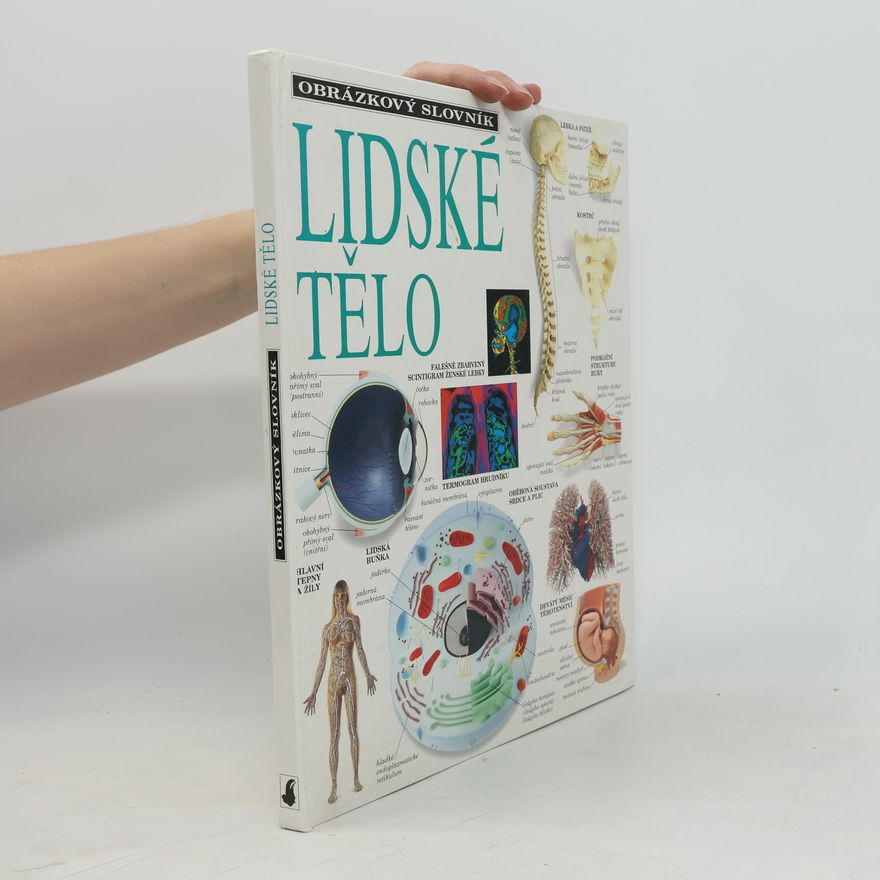 AA.VV. Obrázkový slovník lidské tělo