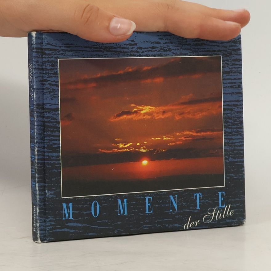 Kolektiv autorů Momente der Stille