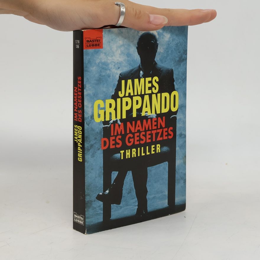 James Grippando Im Namen des Gesetzes