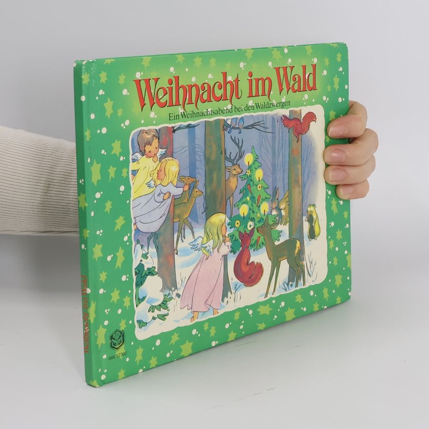 Autorenkollektiv Weihnacht im Wald