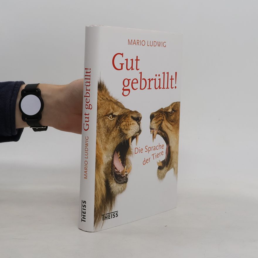 Mario Ludwig Gut gebrüllt!