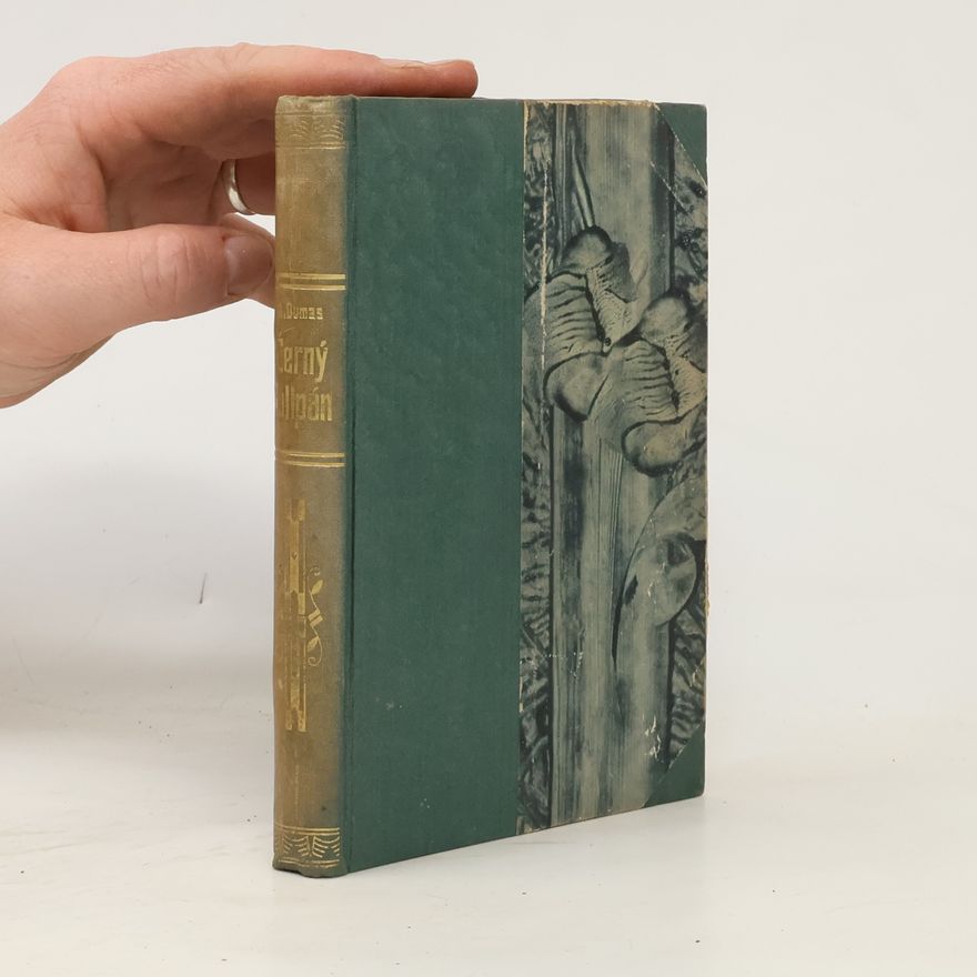 Alexandre Dumas der Ältere Černý tulipán