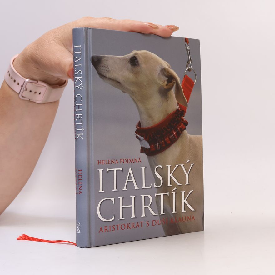 Helena Podaná Italský chrtík - Aristokrat s duší klauna