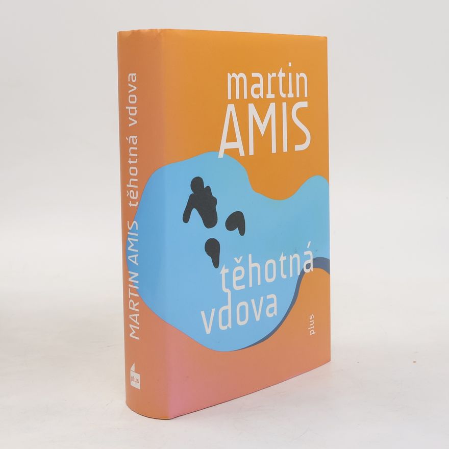 Martin Amis Těhotná vdova. Důvěrné dějiny