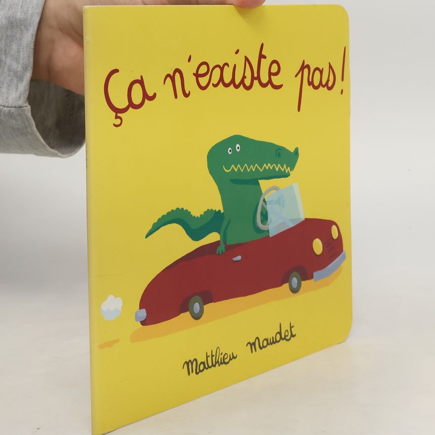 Matthieu Maudet Ça n'existe pas!