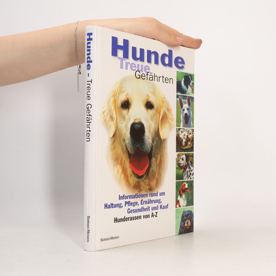 Autorenkollektiv Hunde Treue Gefährten