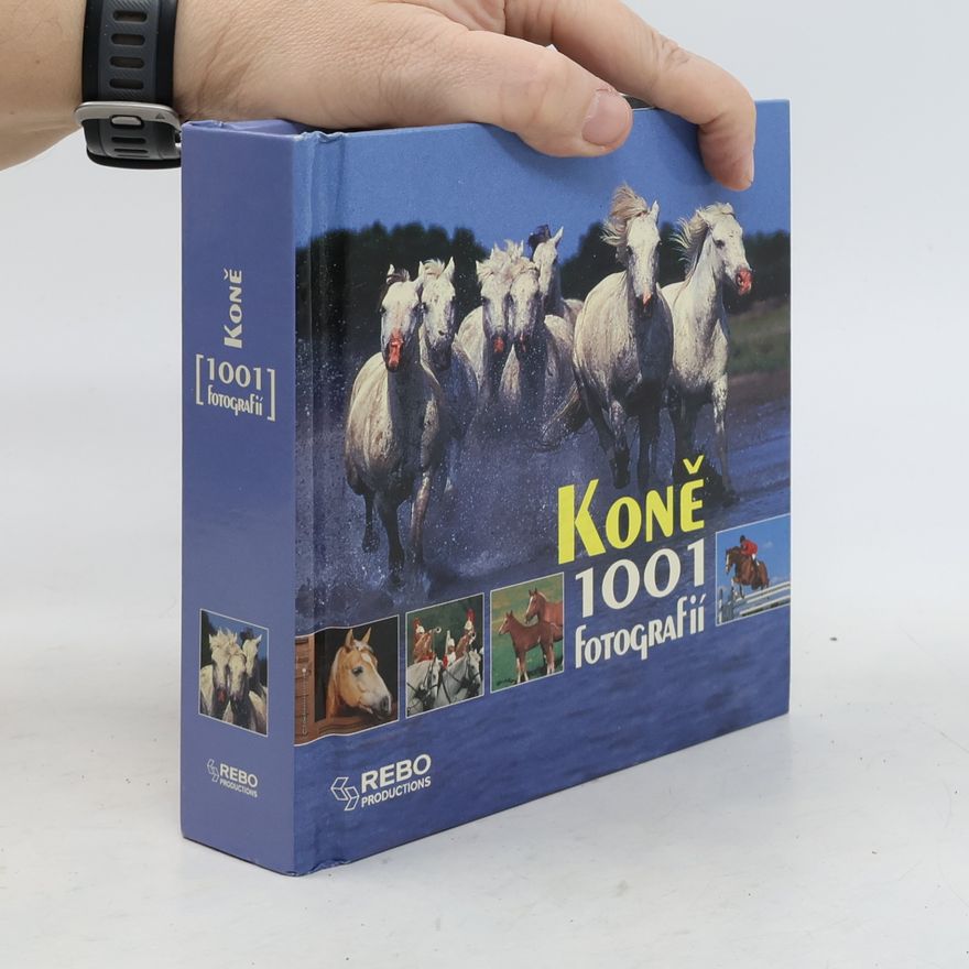 Autorenkollektiv Koně. 1001 fotografií