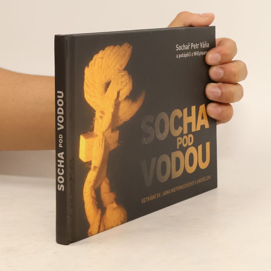 Martina Frouz V Socha pod vodou : setkání sv. Jana Nepomuckého s andělem