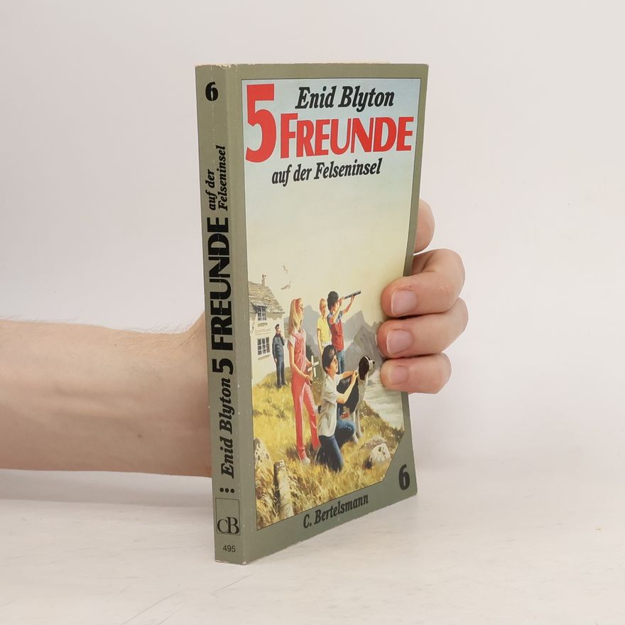 Enid Blyton 5 Freunde auf der Felseninsel