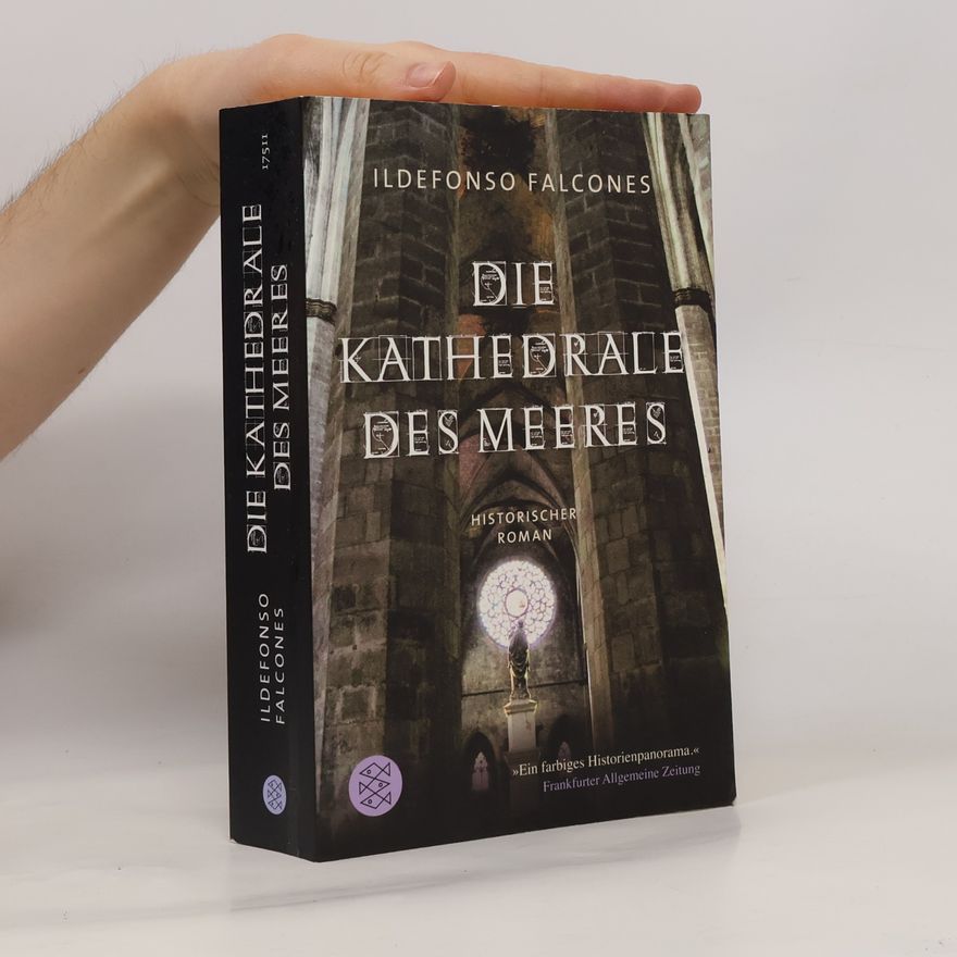 Ildefonso Falcones Die Kathedrale des Meeres