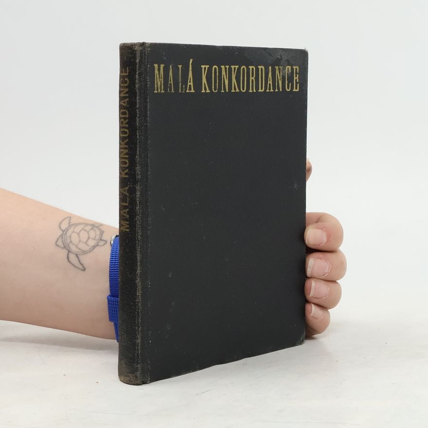Josef Štifter Malá konkordance. Biblický ukazatel.