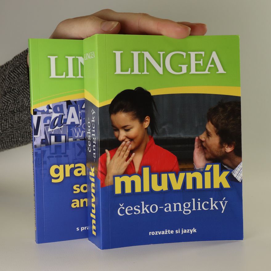 Autorenkollektiv Mluvník česko-anglický. Gramatika současné angličtiny
